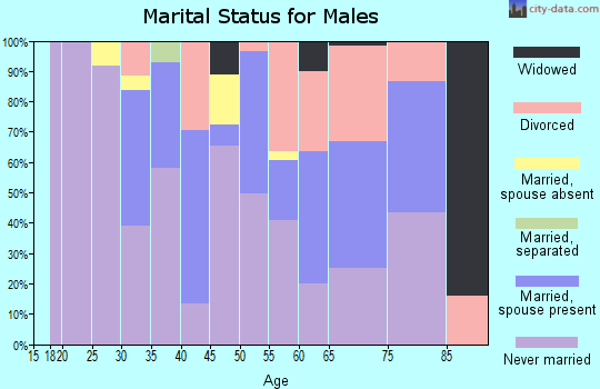 Zip code 95446 marital status for males