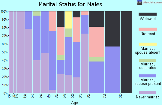 Zip code 95454 marital status for males