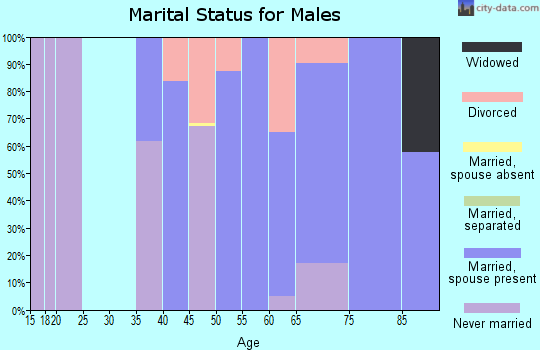 Zip code 95460 marital status for males