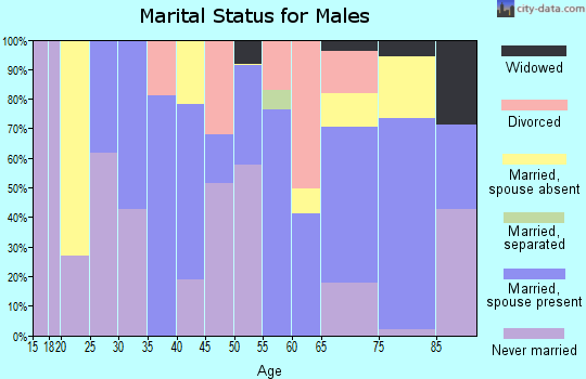 Zip code 95461 marital status for males