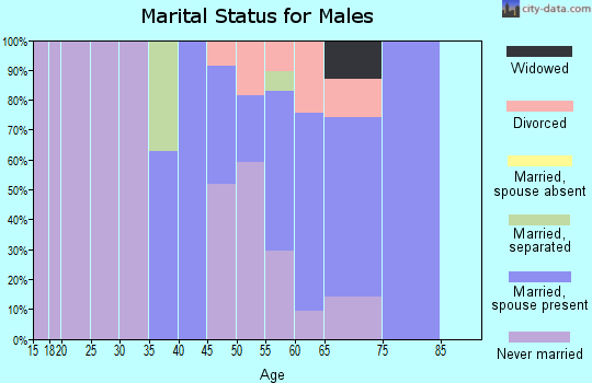 Zip code 95465 marital status for males