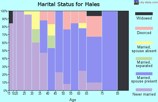 Zip code 95469 marital status for males