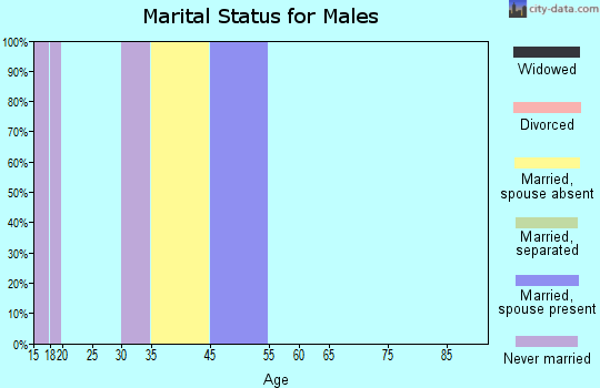 Zip code 95481 marital status for males