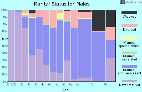 Zip code 95519 marital status for males
