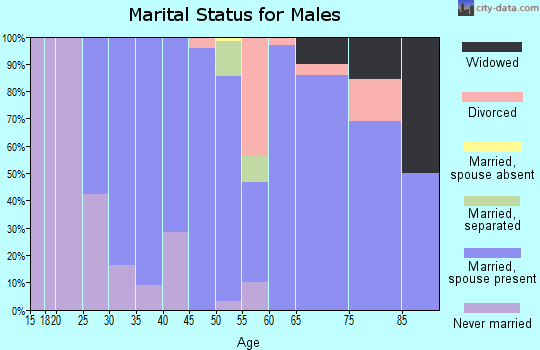 Zip code 95528 marital status for males