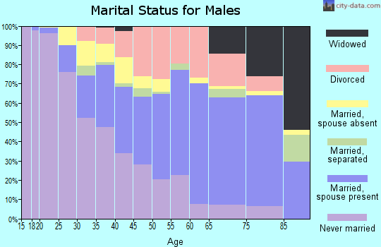 Zip code 95531 marital status for males
