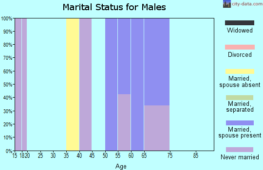 Zip code 95543 marital status for males