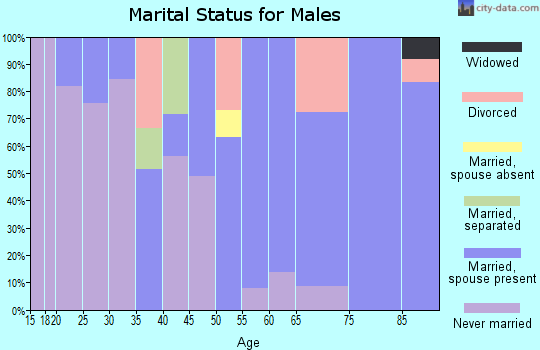 Zip code 95562 marital status for males
