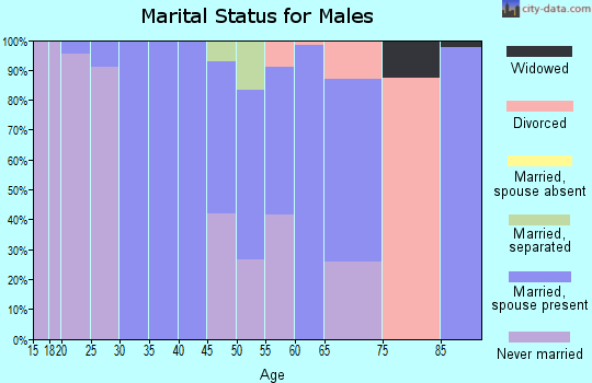 Zip code 95567 marital status for males
