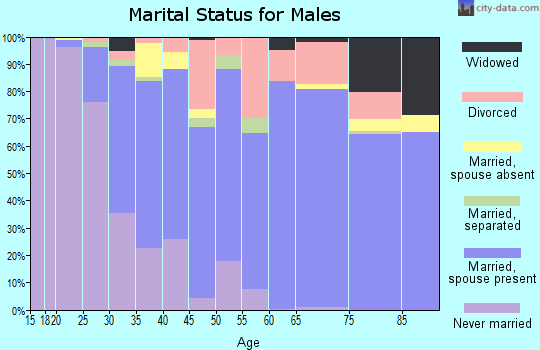 Zip code 95602 marital status for males