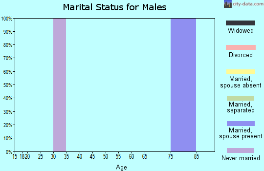 Zip code 95625 marital status for males