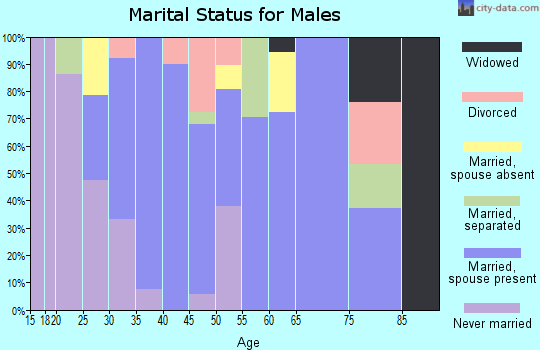 Zip code 95627 marital status for males