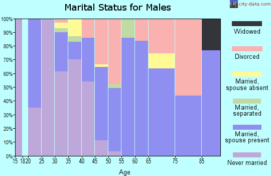 Zip code 95634 marital status for males