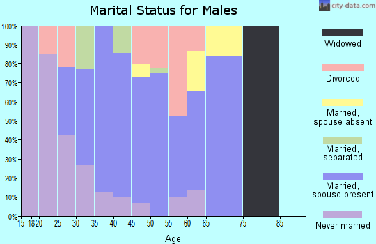 Zip code 95655 marital status for males