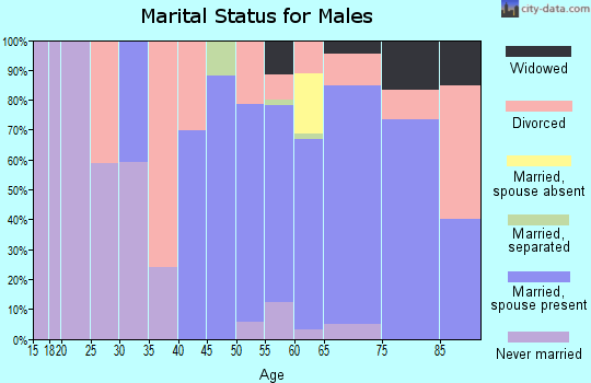 Zip code 95666 marital status for males