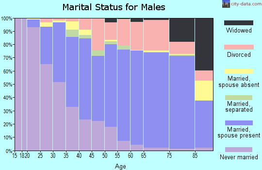 Zip code 95667 marital status for males