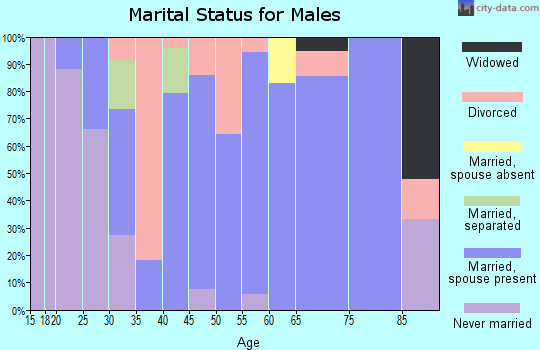 Zip code 95669 marital status for males