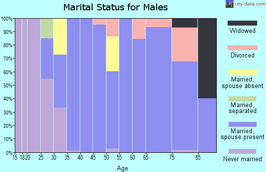 Zip code 95672 marital status for males