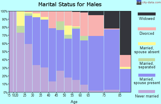 Zip code 95673 marital status for males