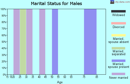 Zip code 95675 marital status for males