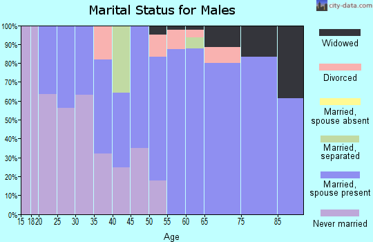 Zip code 95685 marital status for males