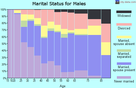 Zip code 95687 marital status for males