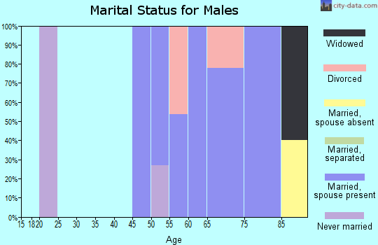 Zip code 95689 marital status for males