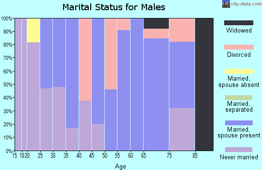 Zip code 95690 marital status for males