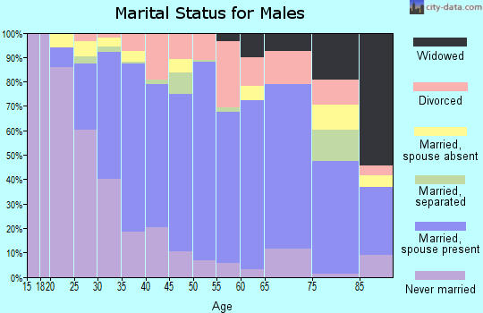 Zip code 95691 marital status for males