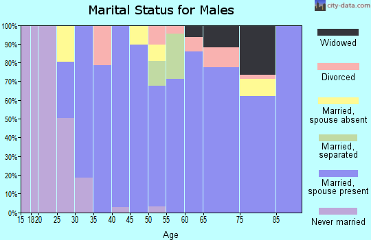 Zip code 95693 marital status for males