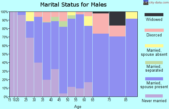 Zip code 95694 marital status for males