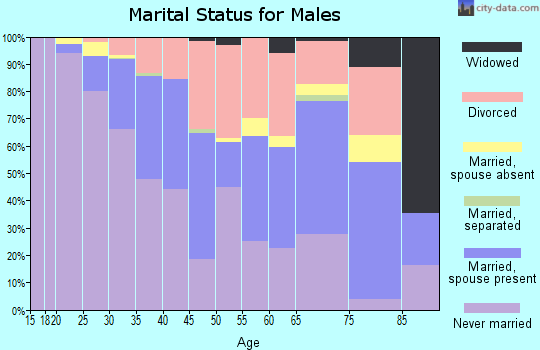Zip code 95816 marital status for males