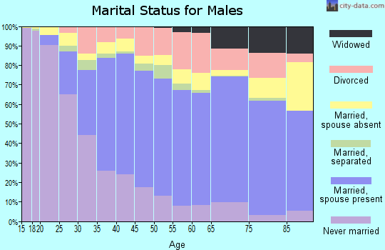 Zip code 95828 marital status for males