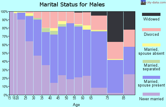 Zip code 95833 marital status for males