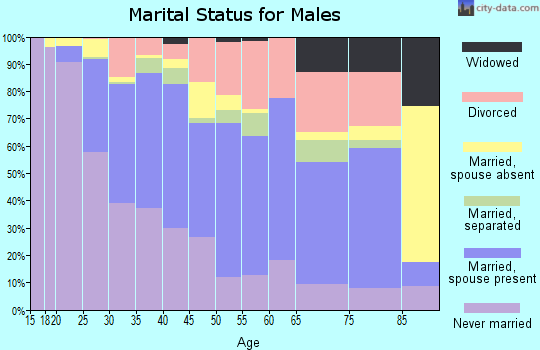 Zip code 95838 marital status for males