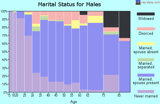Zip code 95843 marital status for males