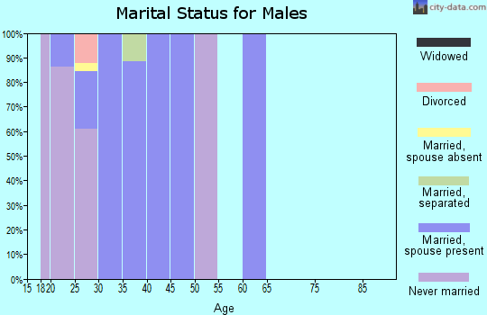 Zip code 95903 marital status for males