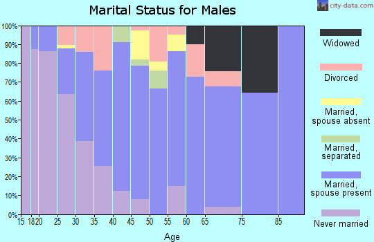 Zip code 95917 marital status for males