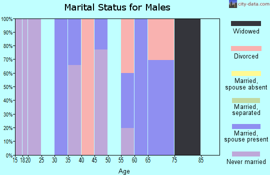 Zip code 95919 marital status for males
