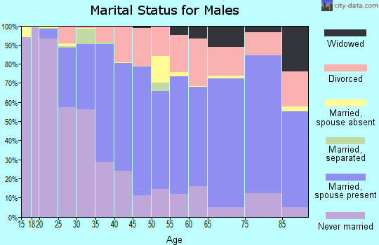 Zip code 95928 marital status for males