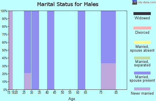 Zip code 95934 marital status for males