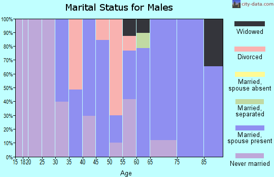 Zip code 95938 marital status for males