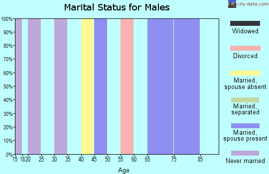 Zip code 95941 marital status for males