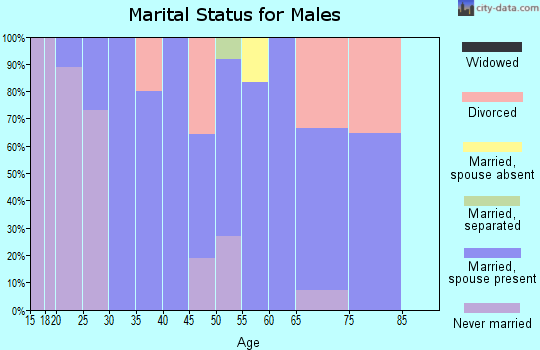 Zip code 95943 marital status for males