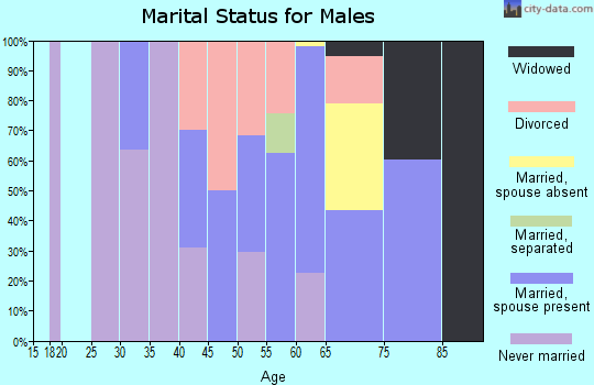 Zip code 95947 marital status for males