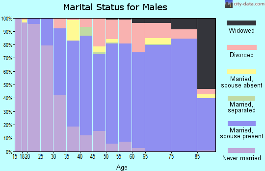 Zip code 95949 marital status for males