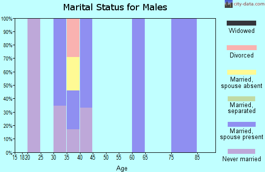 Zip code 95950 marital status for males