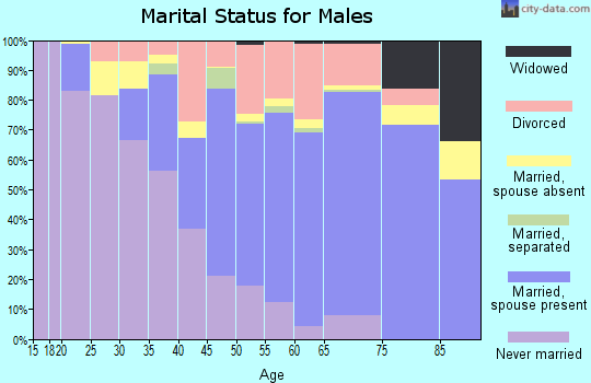 Zip code 95959 marital status for males