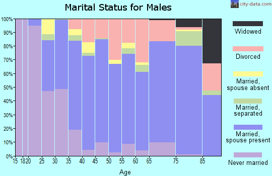 Zip code 95963 marital status for males