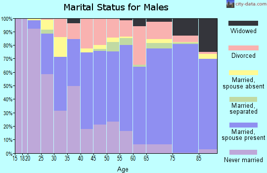 Zip code 95969 marital status for males